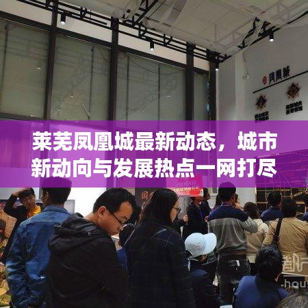 莱芜凤凰城最新动态，城市新动向与发展热点一网打尽
