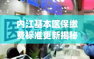 内江基本医保缴费标准更新揭秘，最新缴费金额及政策解读
