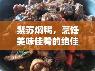紫苏焖鸭，烹饪美味佳肴的绝佳指南