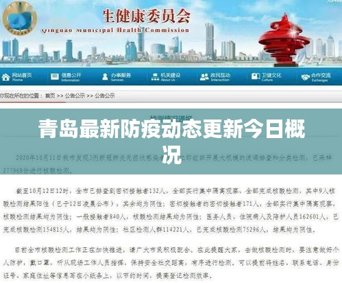 青岛最新防疫动态更新今日概况