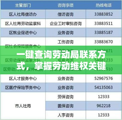 一键查询劳动局联系方式，掌握劳动维权关键信息！