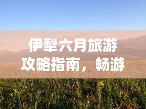 伊犁六月旅游攻略指南，畅游最佳旅游季节的必备攻略