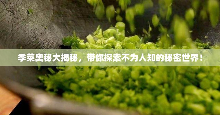 季菜奥秘大揭秘，带你探索不为人知的秘密世界！