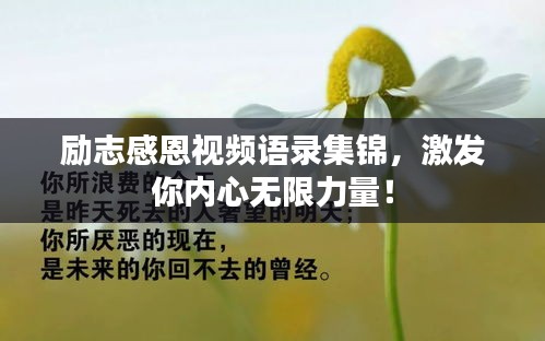 励志感恩视频语录集锦，激发你内心无限力量！