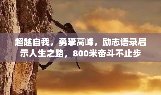 超越自我，勇攀高峰，励志语录启示人生之路，800米奋斗不止步