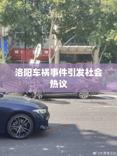 洛阳车祸事件引发社会热议