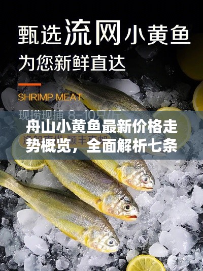 舟山小黄鱼最新价格走势概览，全面解析七条小黄鱼的价格动态！