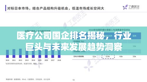 医疗公司国企排名揭秘，行业巨头与未来发展趋势洞察