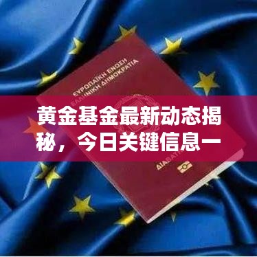 黄金基金最新动态揭秘，今日关键信息一网打尽