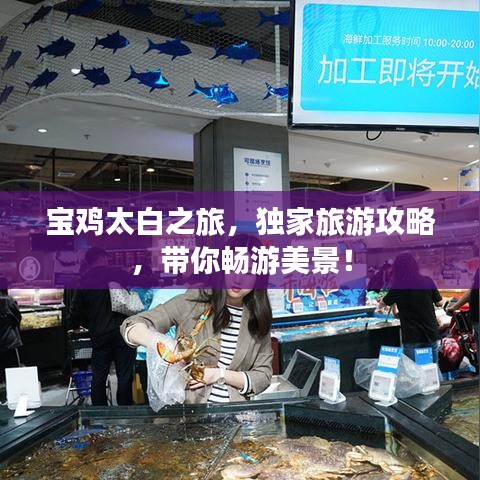 宝鸡太白之旅，独家旅游攻略，带你畅游美景！