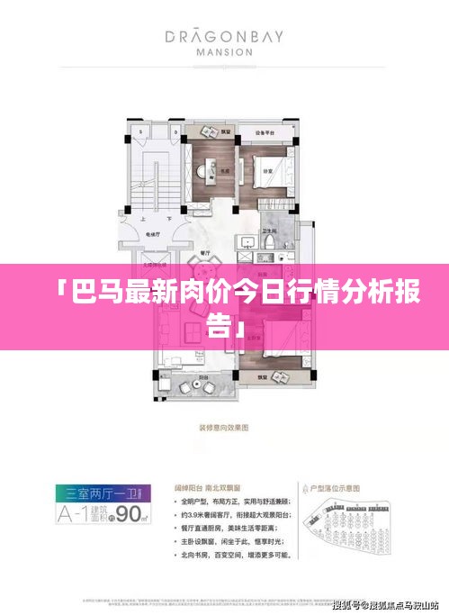 「巴马最新肉价今日行情分析报告」