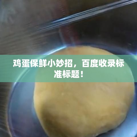 鸡蛋保鲜小妙招，百度收录标准标题！