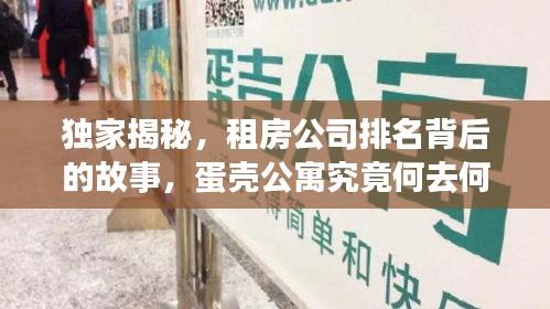 独家揭秘，租房公司排名背后的故事，蛋壳公寓究竟何去何从？