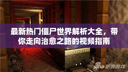 最新热门僵尸世界解析大全，带你走向治愈之路的视频指南