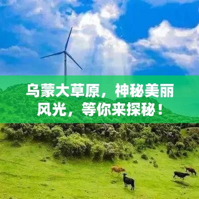 乌蒙大草原，神秘美丽风光，等你来探秘！