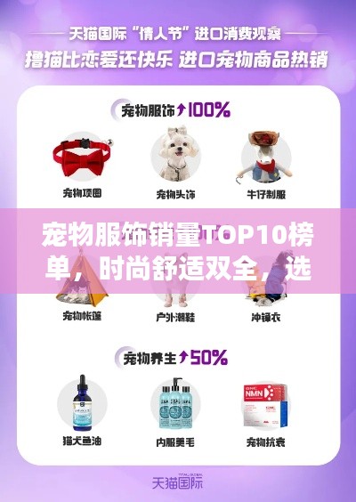 十年磨剑
