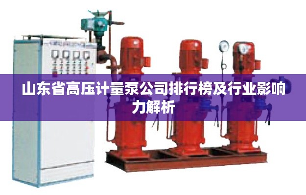 山东省高压计量泵公司排行榜及行业影响力解析