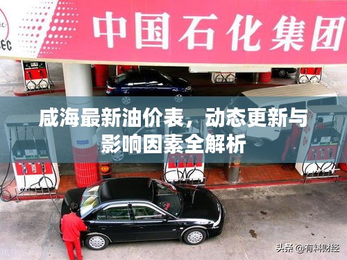 咸海最新油价表，动态更新与影响因素全解析