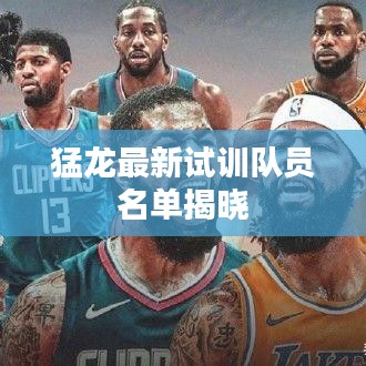 猛龙最新试训队员名单揭晓
