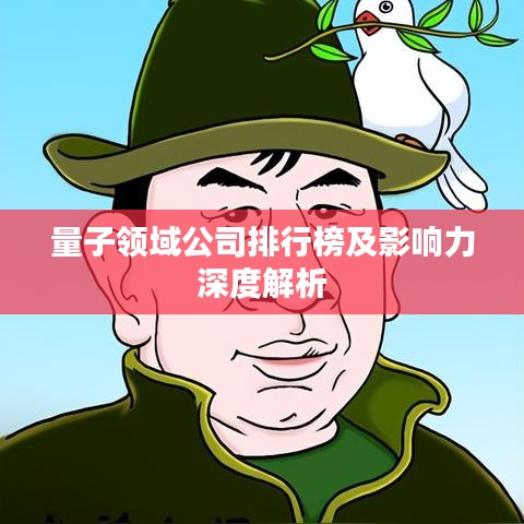 量子领域公司排行榜及影响力深度解析