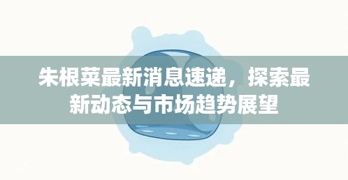 朱根菜最新消息速递，探索最新动态与市场趋势展望