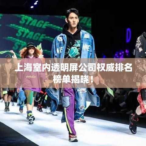 投影仪 第10页