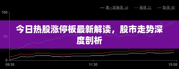 今日热股涨停板最新解读，股市走势深度剖析