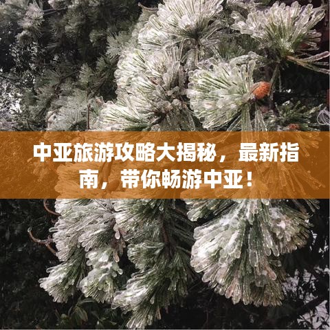 中亚旅游攻略大揭秘，最新指南，带你畅游中亚！