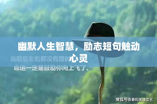 幽默人生智慧，励志短句触动心灵
