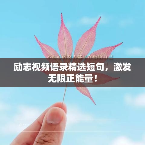 励志视频语录精选短句，激发无限正能量！