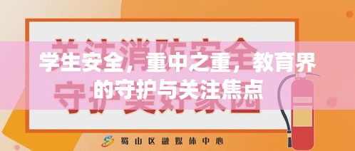 学生安全，重中之重，教育界的守护与关注焦点