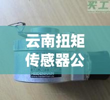 云南扭矩传感器公司排行榜及行业影响力解析