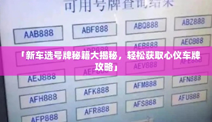 「新车选号牌秘籍大揭秘，轻松获取心仪车牌攻略」