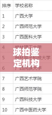球拍鉴定机构权威排名TOP10公布