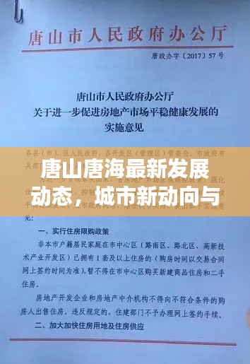 唐山唐海最新发展动态，城市新动向与发展亮点揭秘