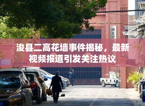 展翅高飞