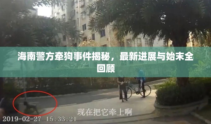 海南警方牵狗事件揭秘，最新进展与始末全回顾