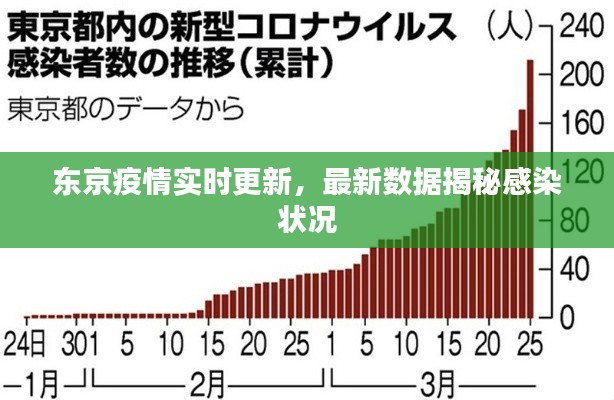 东京疫情实时更新，最新数据揭秘感染状况