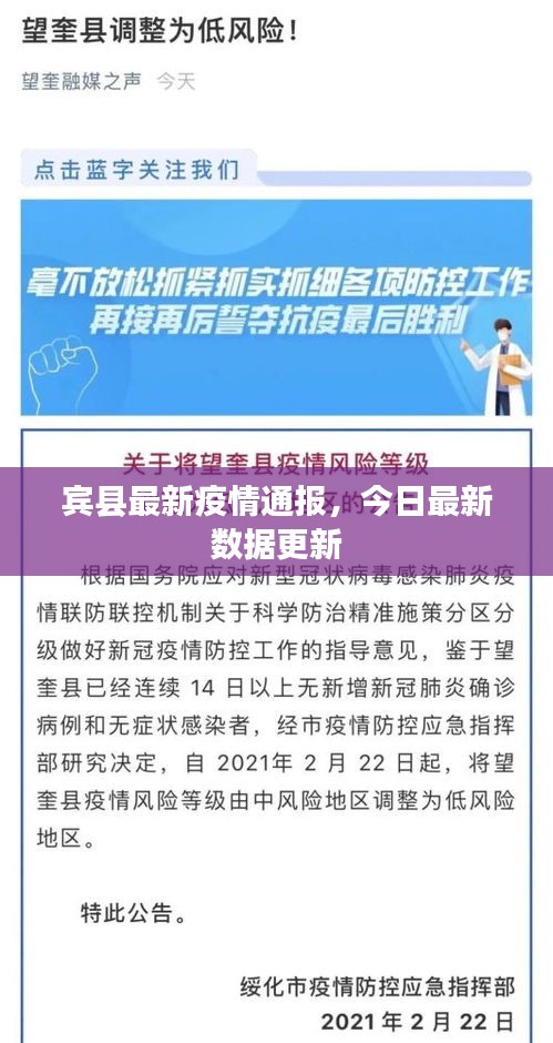 宾县最新疫情通报，今日最新数据更新