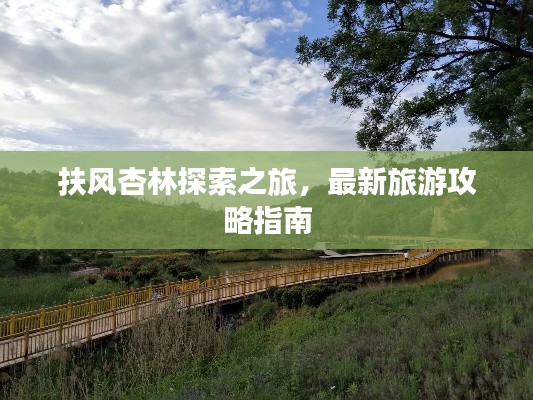 扶风杏林探索之旅，最新旅游攻略指南