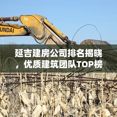 鞭驽策蹇