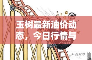 玉树最新油价动态，今日行情与影响因素深度解析