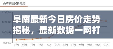 阜南最新今日房价走势揭秘，最新数据一网打尽！