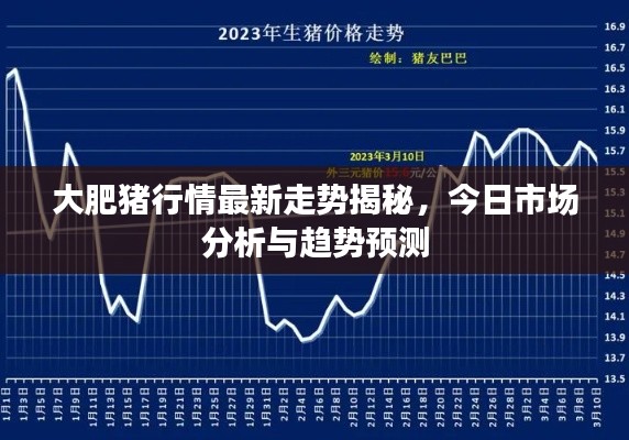 大肥猪行情最新走势揭秘，今日市场分析与趋势预测