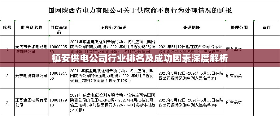 镇安供电公司行业排名及成功因素深度解析