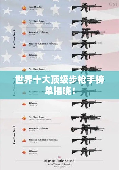 世界十大顶级步枪手榜单揭晓！