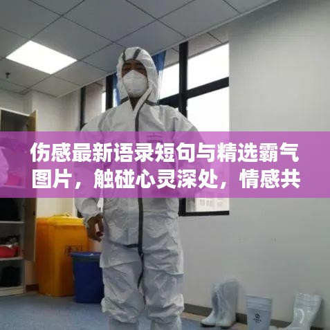 伤感最新语录短句与精选霸气图片，触碰心灵深处，情感共鸣的瞬间