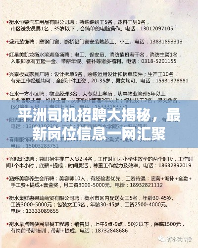 平洲司机招聘大揭秘，最新岗位信息一网汇聚
