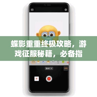 蝶影重重终极攻略，游戏征服秘籍，必备指南！