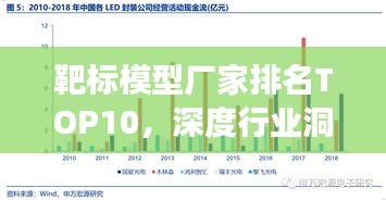 靶标模型厂家排名TOP10，深度行业洞察与细致分析